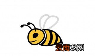 该如何养好蜂 如何才能学会养蜂?