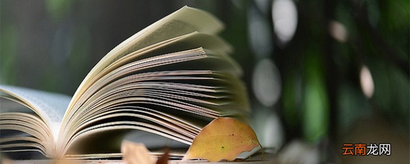 扉页是什么意思扉页是指什么意思
