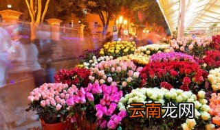 玫瑰30朵什么意思 玫瑰30朵啥意思