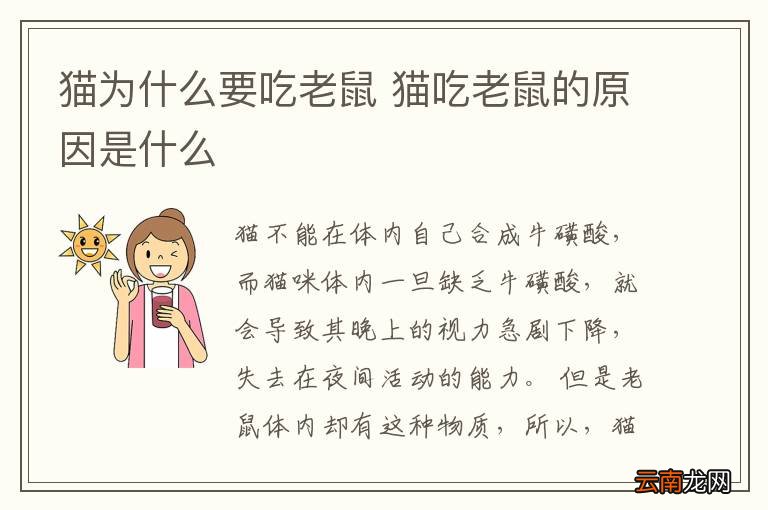 猫为什么要吃老鼠 猫吃老鼠的原因是什么