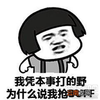 王者荣耀凭本事什么梗？凭本事控住我什么梗？