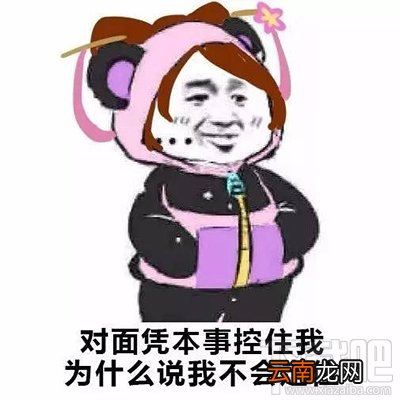 王者荣耀凭本事什么梗？凭本事控住我什么梗？