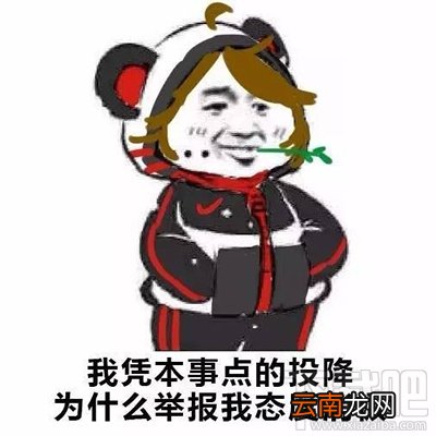 王者荣耀凭本事什么梗？凭本事控住我什么梗？