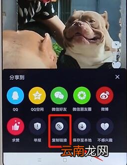 微视APP去掉水印详细操作