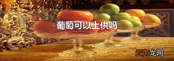 葡萄可以上供吗