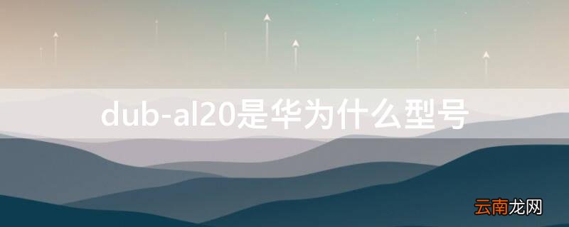 dub-al20是华为什么型号 dubal20是华为什么型号手机