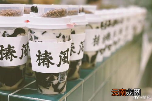 椿风养生茶饮有多少家店,南通椿风健康茶饮品牌故事？