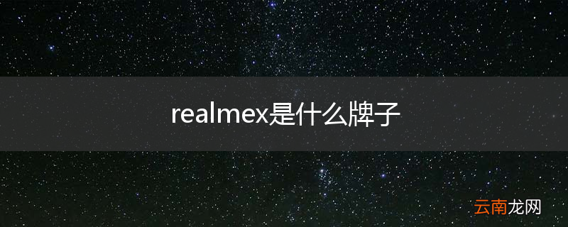 realmex是什么牌子