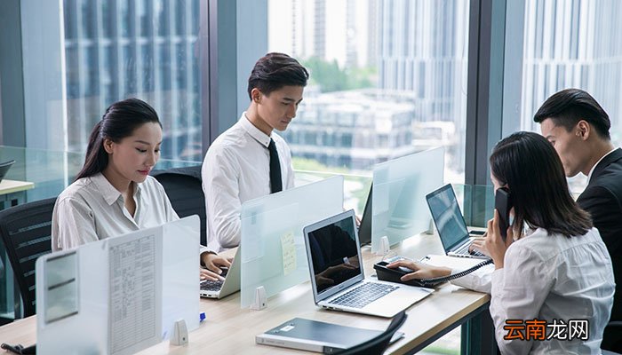 cpo是什么职位 公司cpo是什么