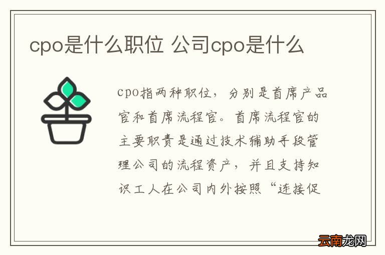 cpo是什么职位 公司cpo是什么