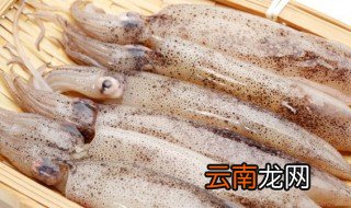 鲜鱿鱼仔怎么处理干净 新鲜小鱿鱼仔怎么保存