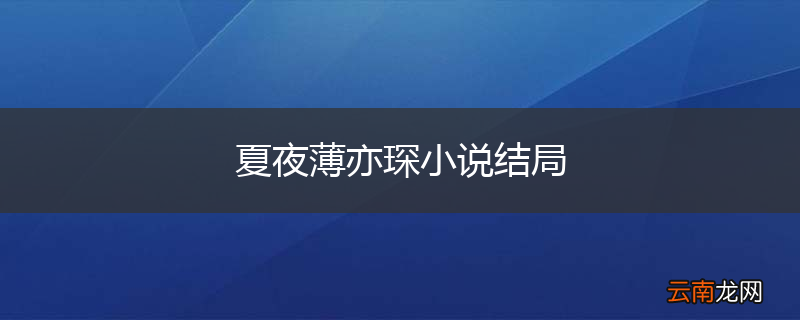 夏夜薄亦琛小说结局
