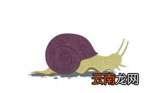 做梦梦到蜗牛什么意思 做梦梦到蜗牛好不好