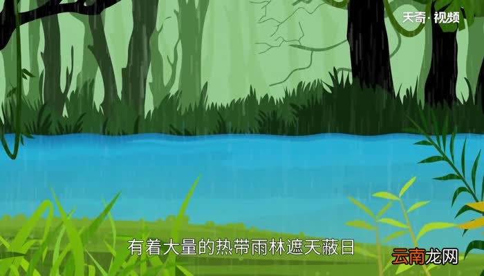 亚马逊河流域经过几个国家 亚马逊河流域流经哪些国家