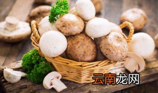 新鲜蘑菇洗了之后怎么保存 新鲜小蘑菇怎么清洗保存