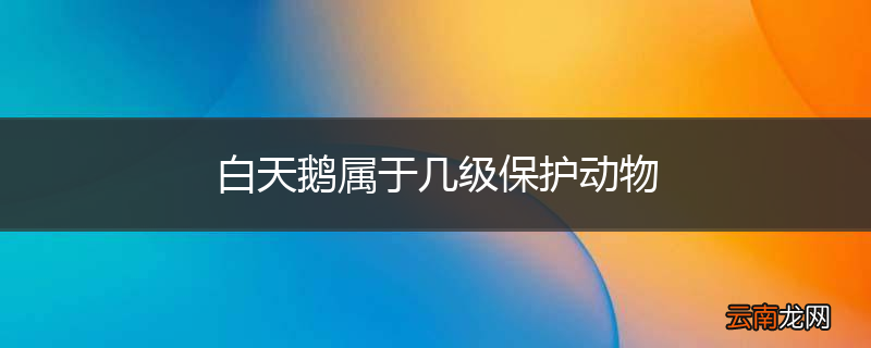 白天鹅属于几级保护动物