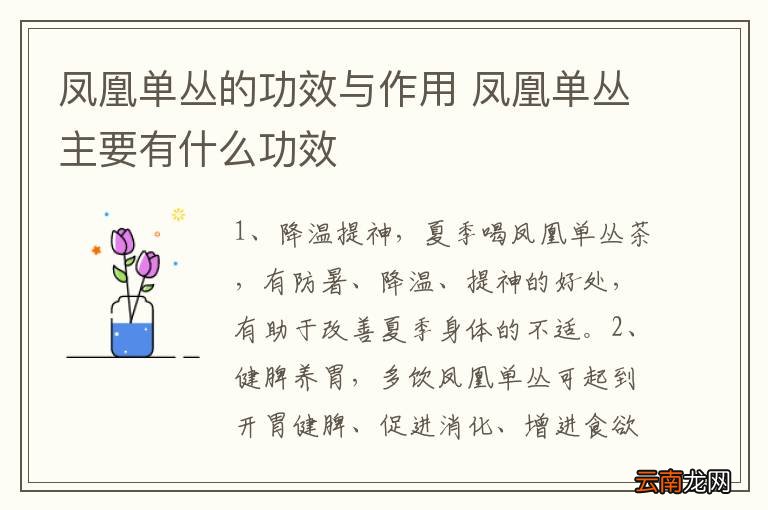 凤凰单丛的功效与作用 凤凰单丛主要有什么功效