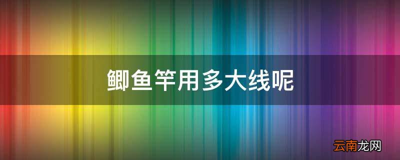 鲫鱼竿用多大线呢