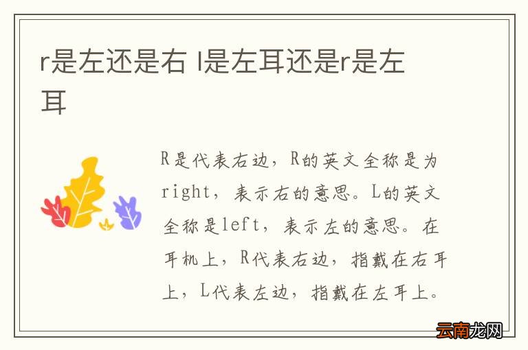 r是左还是右 l是左耳还是r是左耳