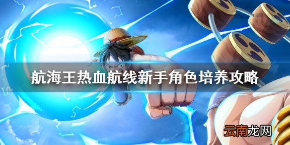 航海王热血航线新手卡片养成 航海王热血航线新手角色培养攻略