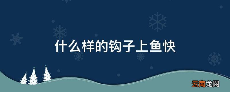 什么样的钩子上鱼快