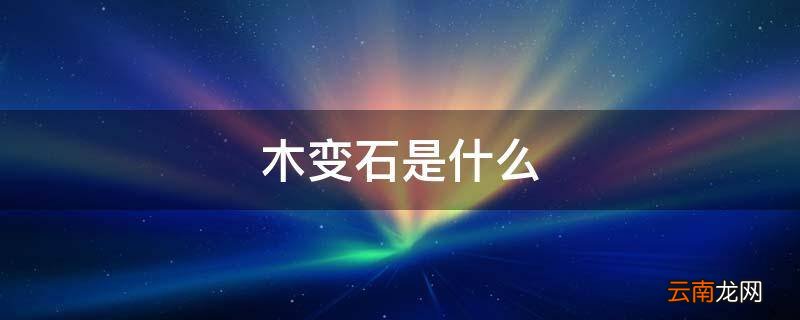 木变石是什么