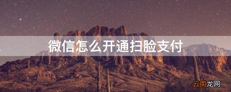 微信怎么开通扫脸支付 微信怎么开通扫脸支付oppor11