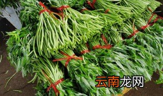 藜蒿是酸性还是碱性食物 藜蒿是寒性食物吗