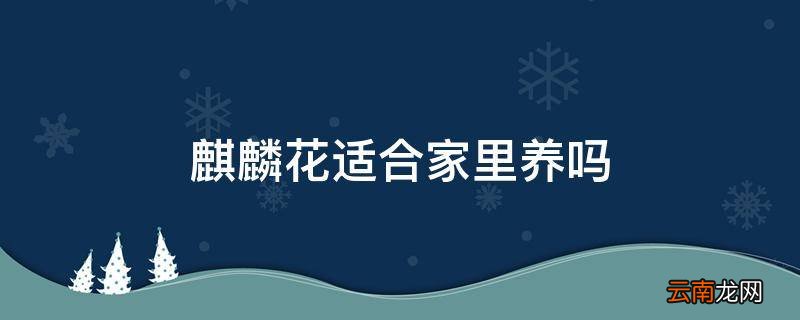 麒麟花适合家里养吗