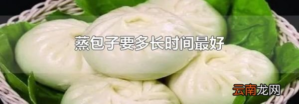 蒸包子要多长时间最好