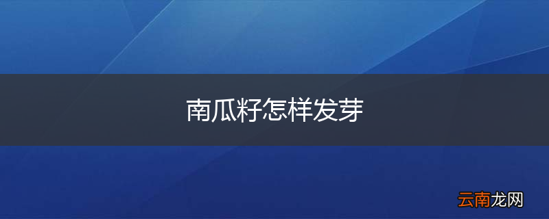 南瓜籽怎样发芽