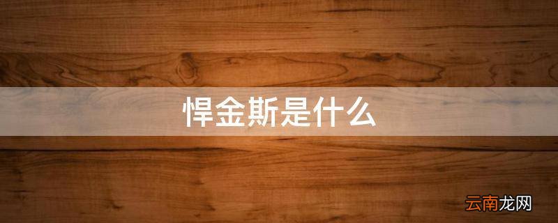 悍金斯是什么
