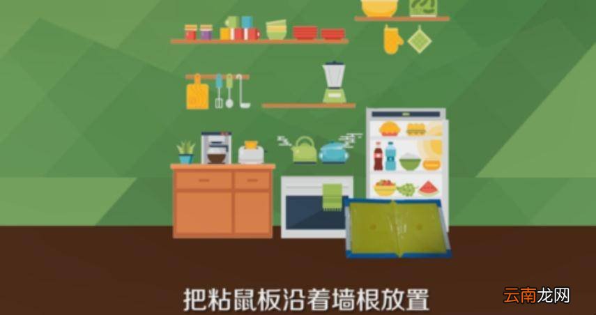粘鼠板的正确使用方法