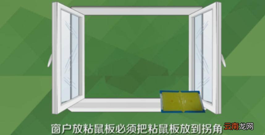 粘鼠板的正确使用方法