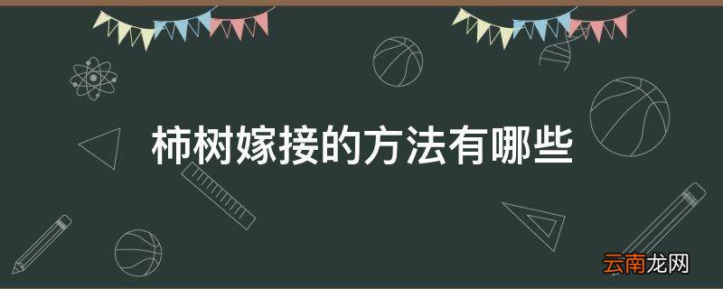 柿树嫁接的方法有哪些