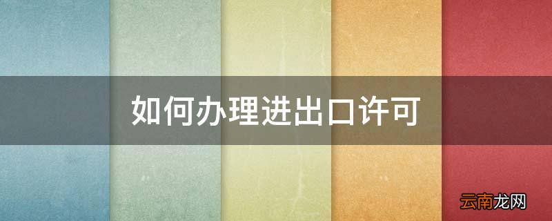 如何办理进出口许可