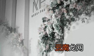 白色寓意 白色有如下寓意