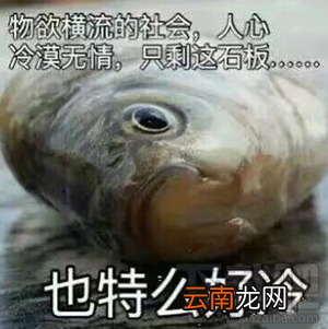 鱼诡异的光什么梗？鱼诡异的光是什么意思？