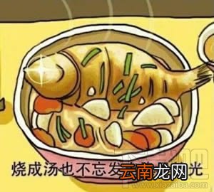 鱼诡异的光什么梗？鱼诡异的光是什么意思？