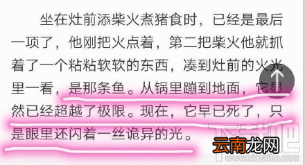 鱼诡异的光什么梗？鱼诡异的光是什么意思？