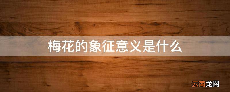 梅花的象征意义是什么