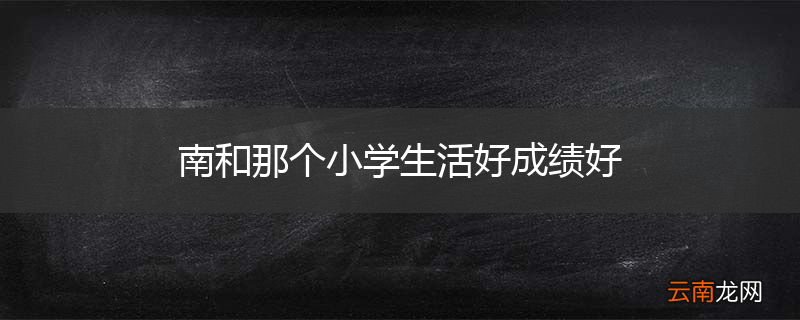 南和那个小学生活好成绩好