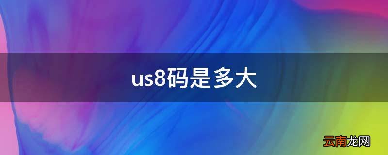 us8码是多大