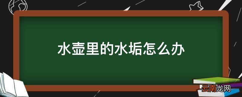 水壶里的水垢怎么办