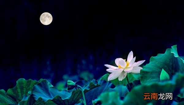 平分秋色一轮满是什么节日 平分秋色一轮满是指什么节日