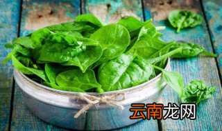绿叶木耳菜是碱性还是酸性食物