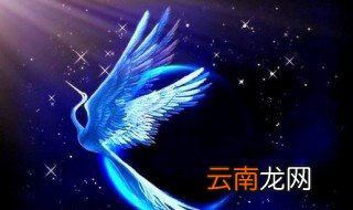 青鸟寓意 青鸟有什么寓意