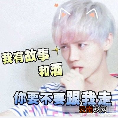 右友什么梗什么意思？