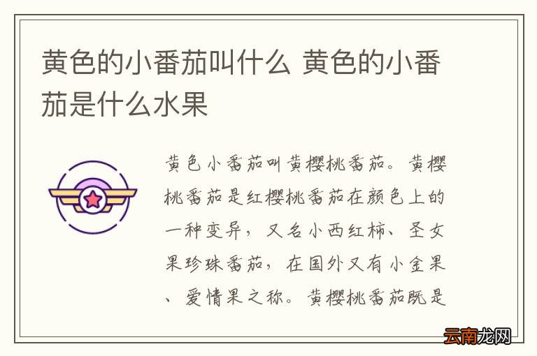 黄色的小番茄叫什么 黄色的小番茄是什么水果