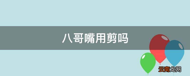 八哥嘴用剪吗